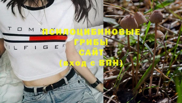 a pvp Снежногорск